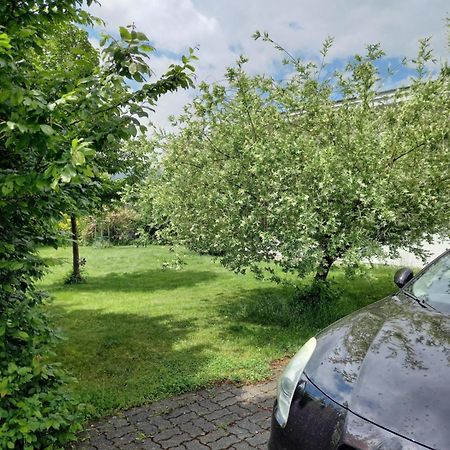 Flores, Ferienhaus Oder Doppelzimmer, Im Gruenen, 5 Gehminuten Ins Zentrum, Parkplatz, Zero Emissions Бад-Ішль Екстер'єр фото