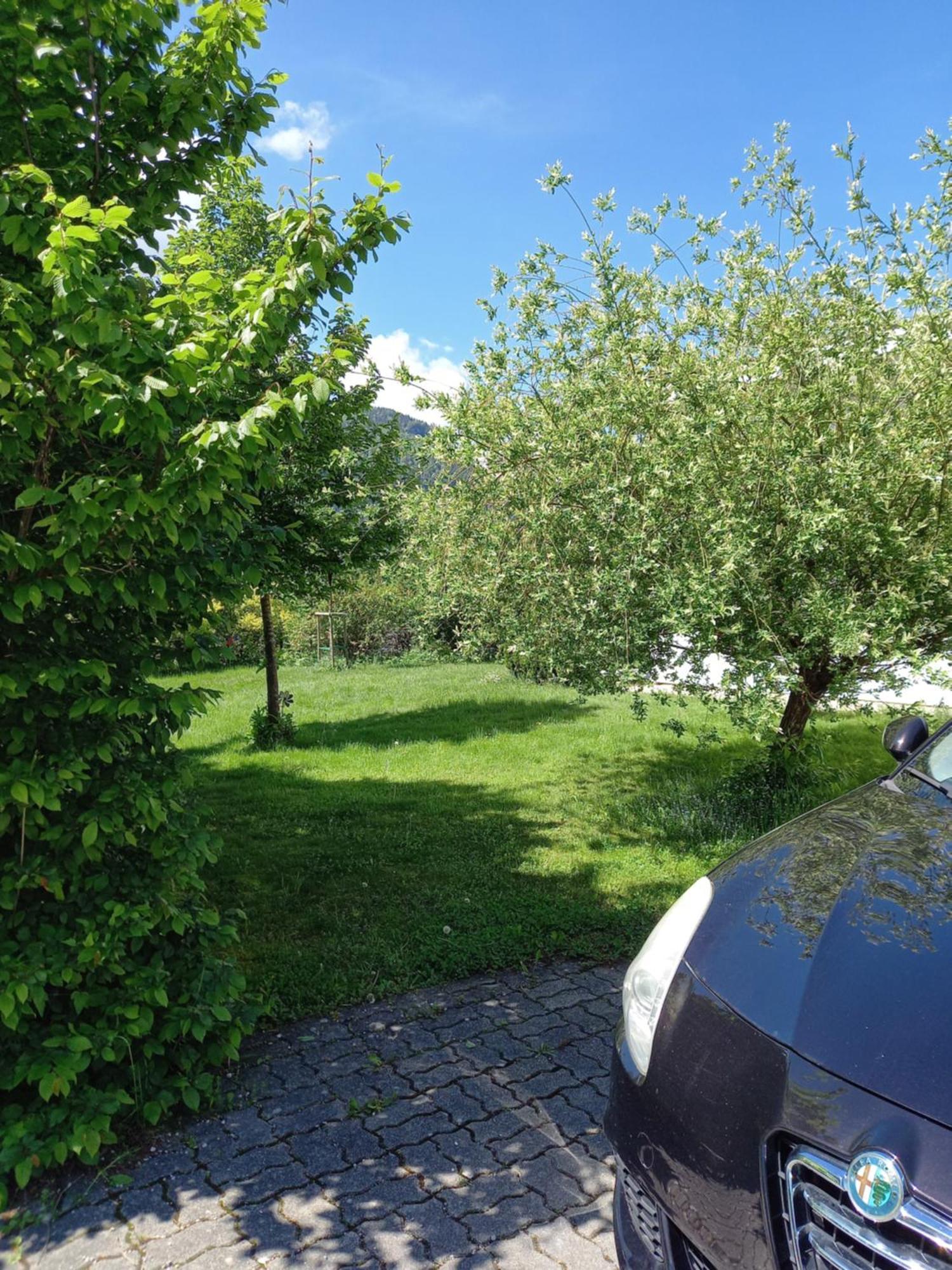 Flores, Ferienhaus Oder Doppelzimmer, Im Gruenen, 5 Gehminuten Ins Zentrum, Parkplatz, Zero Emissions Бад-Ішль Екстер'єр фото