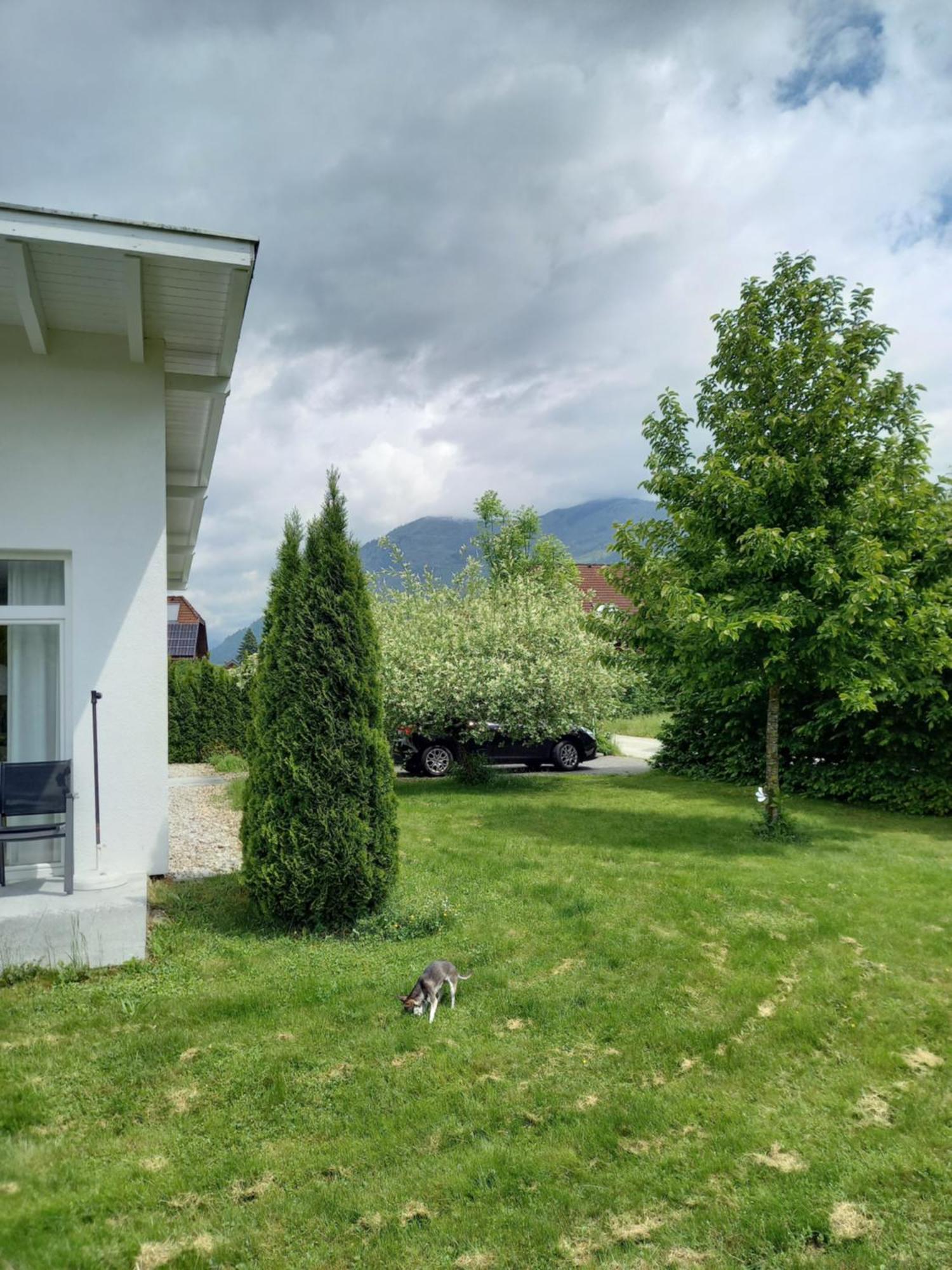 Flores, Ferienhaus Oder Doppelzimmer, Im Gruenen, 5 Gehminuten Ins Zentrum, Parkplatz, Zero Emissions Бад-Ішль Екстер'єр фото